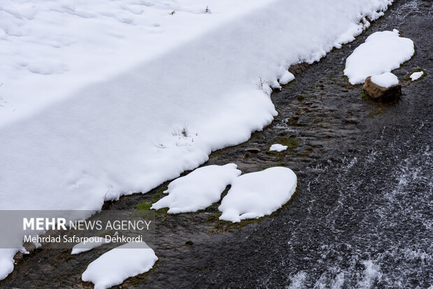 طبیعت برفی کوهرنگ در اولین هفته زمستان