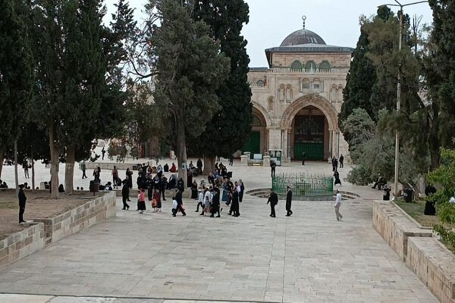 ابرز أحداث فلسطین؛ من "وحدة الساحات" إلى "عرين الأسود"