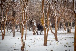 بارش برف در مناطق مرتفع کرمان