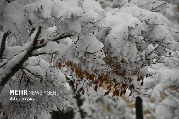 ارتفاع برف در فریدونشهر به 60سانتیمتر رسید