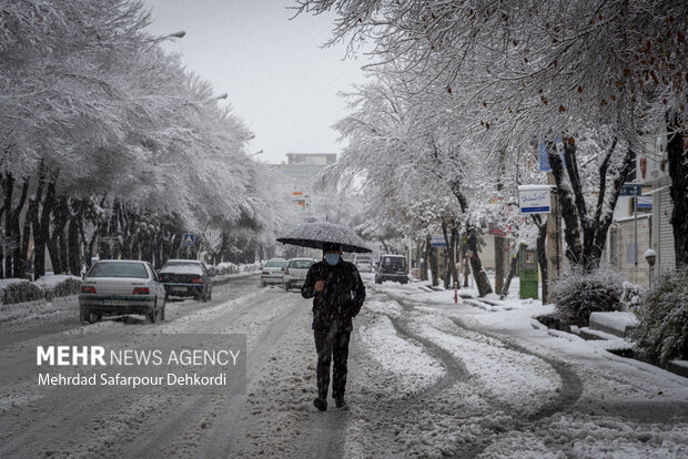 بارش برف استان زنجان را سفید پوش کرد