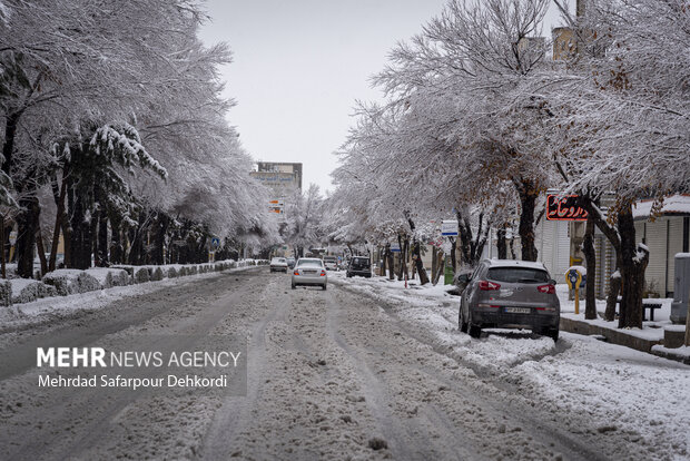 طبیعت برفی بام ایران - شهرکرد