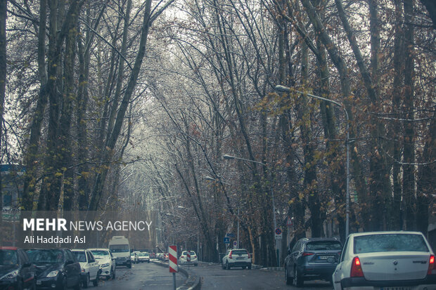 بارش اولین برف زمستانی در تهران