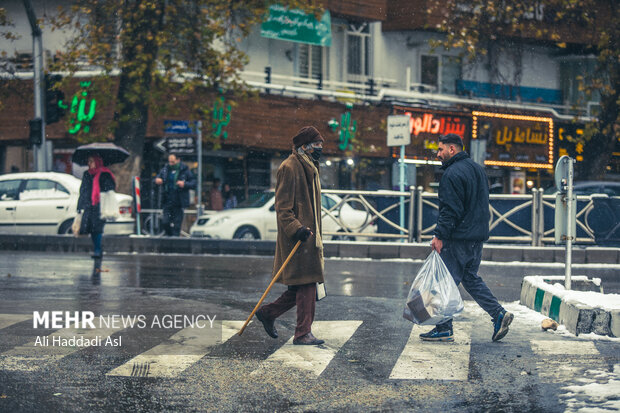 با فرا رسیدن فصل زمستان و کاهش چشم گیر دما، شهر تهران در اکثر نقاط شاهد بارش برف و سفید پوش شد