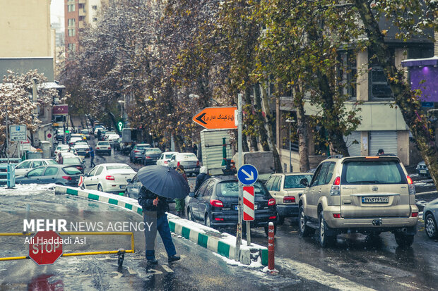 با فرا رسیدن فصل زمستان و کاهش چشم گیر دما، شهر تهران در اکثر نقاط شاهد بارش برف و سفید پوش شد