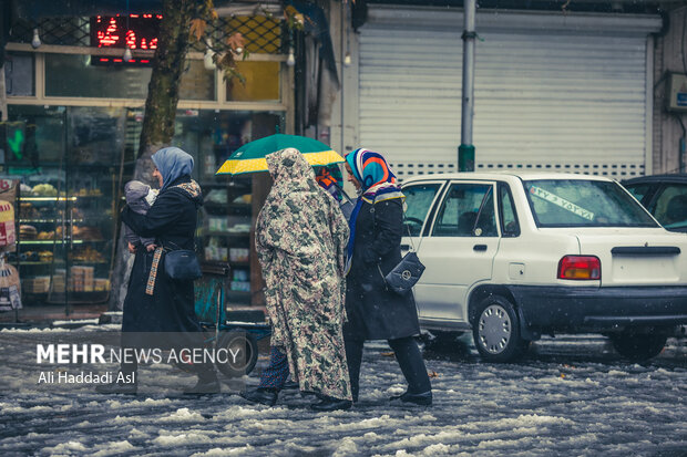 با فرا رسیدن فصل زمستان و کاهش چشم گیر دما، شهر تهران در اکثر نقاط شاهد بارش برف و سفید پوش شد