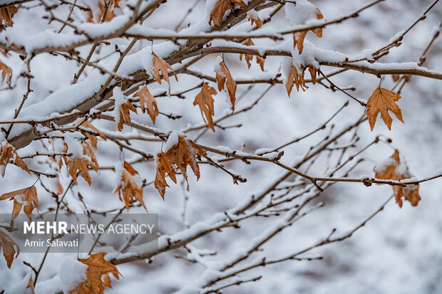 کولاک برف و یخبندان در انتظار اصفهان