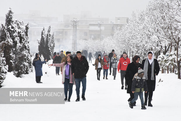 People of Arak enjoy snow tubing
