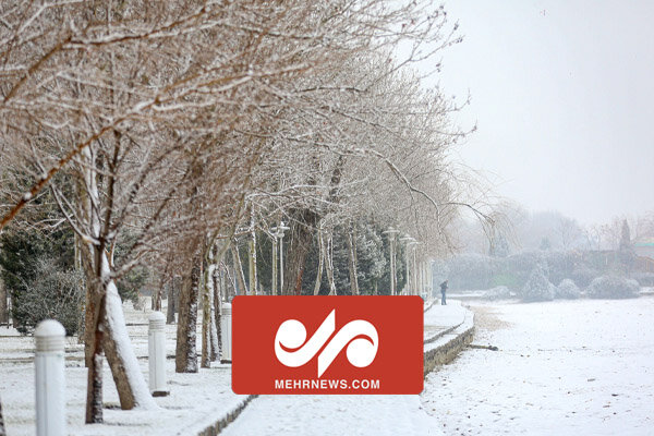 تصاویری از بارش برف در منطقه کوهسار تهران
