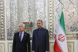 Iran FM meets with Russian parl. friendship groups heads