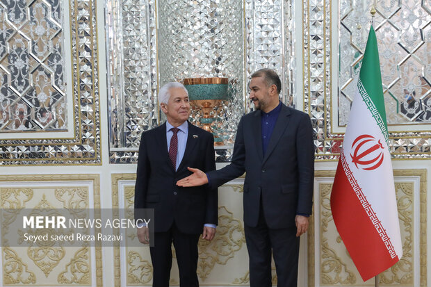 Iran FM meets with Russian parl. friendship groups heads