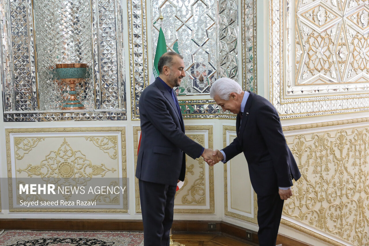 ایرانی وزیر خارجہ سے روس  ایران پارلیمانی دوستی گروپ کے سربراہان کی ملاقات
