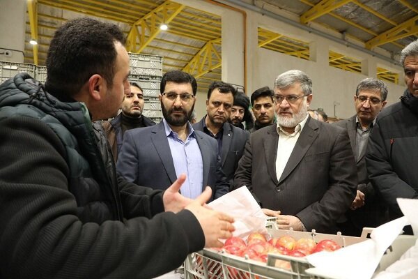 آهنگ کند صادرات سیب در آذربایجان غربی/برندسازی حلقه مفقوده