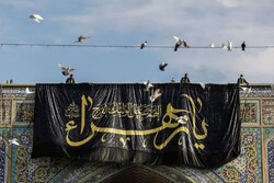 نصب کتبیه و پرچم مشکی ایام شهادت حضرت زهرا(س) در حرم مطهر رضوی