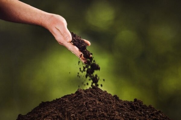 تخریب ۵ قرن در چند ثانیه/ خاک گلستان در خطر است