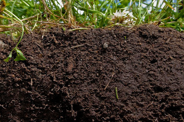 تخریب ۵ قرن در چند ثانیه/ خاک گلستان در خطر است