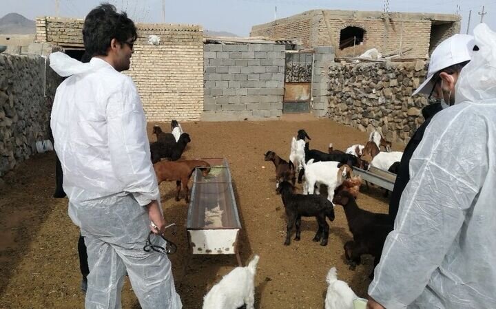 محرومیت زدایی از چهره استان سمنان/از ساخت مدرسه تا حمایت از تحصیل