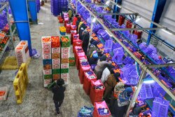 پرتقال مازندران برای اولین بار به چین صادر شد