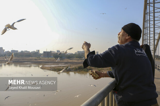 مهمان های پل سفید