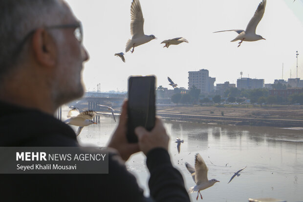 مهمان های پل سفید