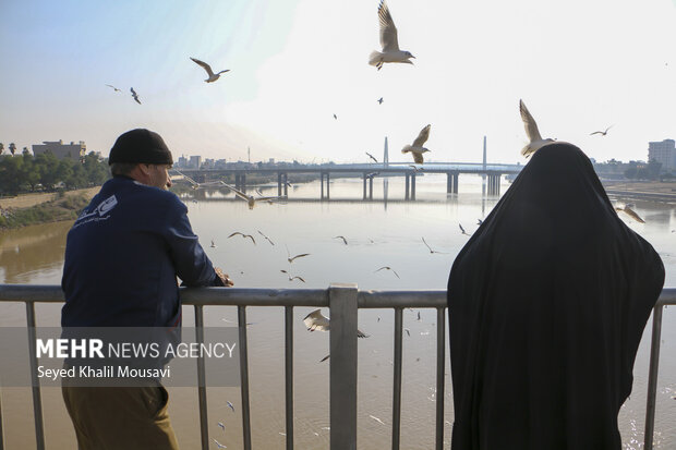 مهمان های پل سفید