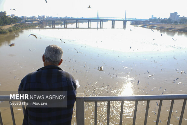 مهمان های پل سفید