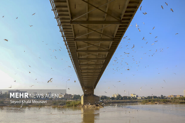 مهمان های پل سفید