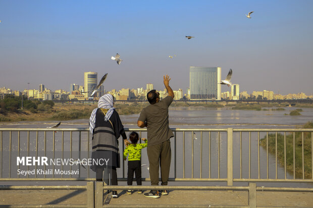 مهمان های پل سفید