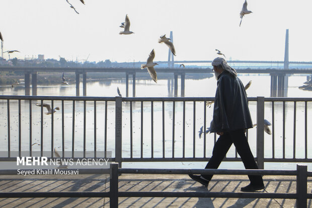 مهمان های پل سفید