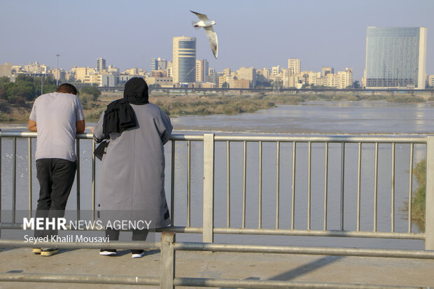 مهمان های پل سفید