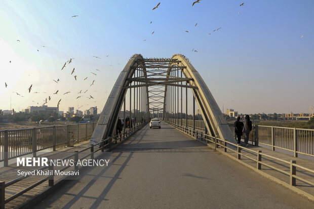 مهمان های پل سفید