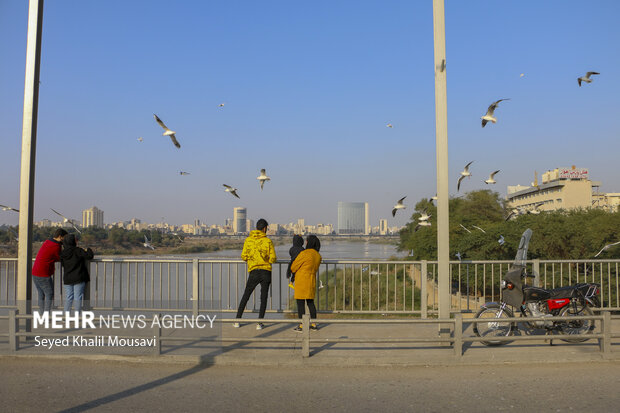 مهمان های پل سفید