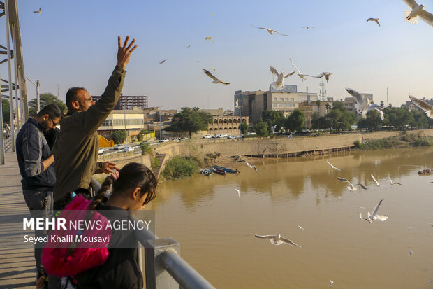 مهمان های پل سفید