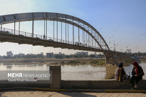 مهمان های پل سفید