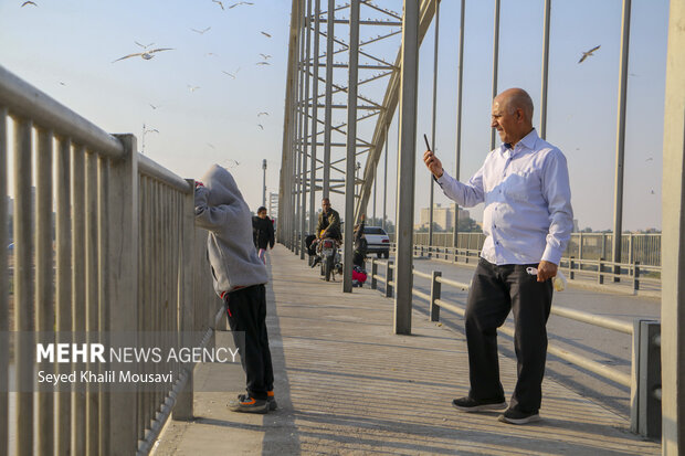 مهمان های پل سفید