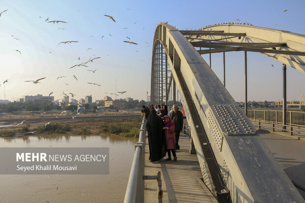 مهمان های پل سفید