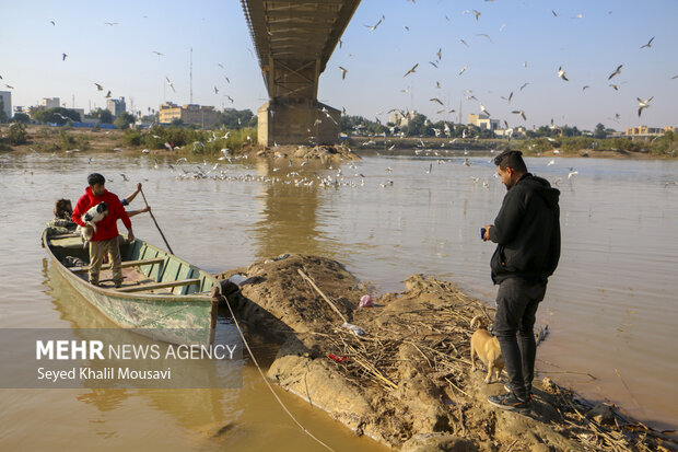 مهمان های پل سفید