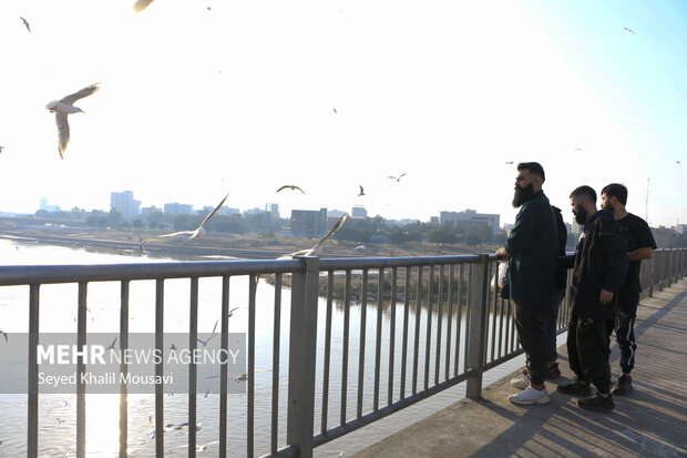 مهمان های پل سفید