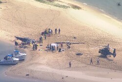 برخورد دو بالگرد در ساحل توریستی استرالیا ۷ کشته و زخمی برجای گذاشت
