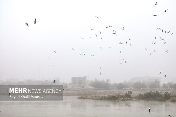 ماهشهر آلوده‌ترین هوا بین شهرهای کشور  را دارد