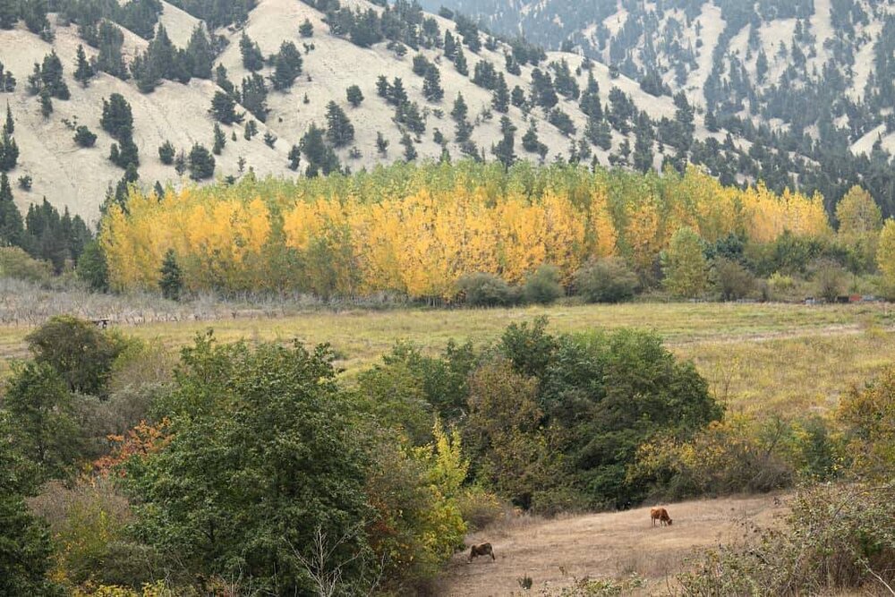 نبض گردشگری در کوهستان؛ کندلوس را جهانی ببینید