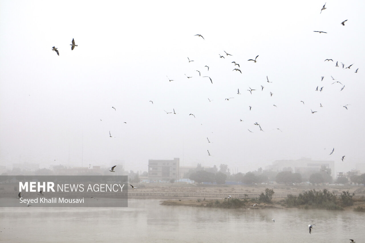 ماهشهر آلوده‌ترین هوا بین شهرهای کشور  را دارد