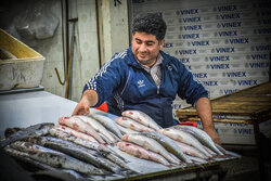 بازاڕی کۆنی ماسی فرۆشان لە باکووری ئێران