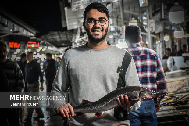 İran'daki balık pazarından fotoğraflar