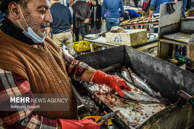 Fish market in Mazandaran province

