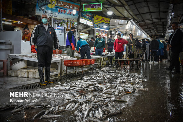بازار ماهی فروشان
