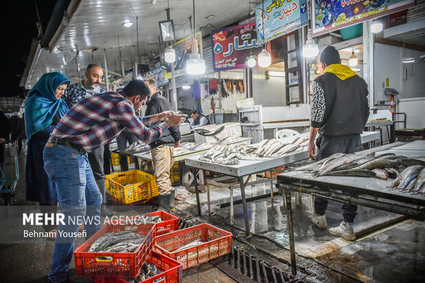 İran'daki balık pazarından fotoğraflar