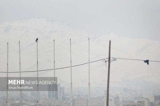 آلودگی هوای شهر همدان