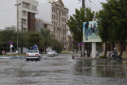 معابر پایتخت لغزنده و خلوت است/ با احتیاط رانندگی کنید