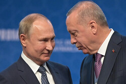دیدار پوتین و اردوغان سرنوشت توافق غلات را تعیین می‌کند